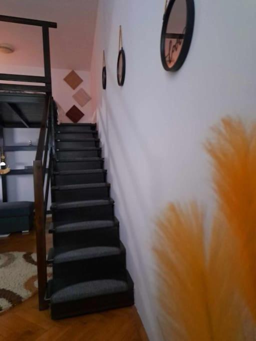 Sofia'S Home Comfy Studio In The Old Town Braşov Exterior foto